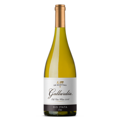 Вино белое сухое "Gallardia" Old Vine Itata DO /De Martino/ 0.75л. 13.0%