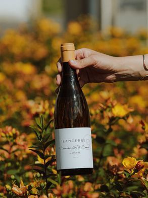 Вино біле сухе Sancerre "Domaine Du Pre Semele" Julien & Clement Raimbault 0.75л 13.0%
