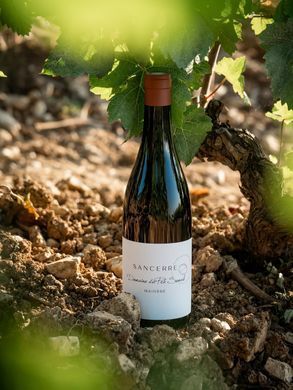 Вино красное сухое Sancerre AOP Rouge Domaine du Pre Semele 0.75л, 10.5-15.0%