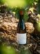 Вино красное сухое Sancerre AOP Rouge Domaine du Pre Semele 0.75л, 10.5-15.0%